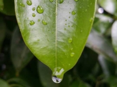 【免费】道路、桥梁、市政施工组织设计大全,word版本,