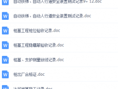 ��VIP������Ա�������յĹ������ϱ��ƹ��֮һ---ʩ������DOC��